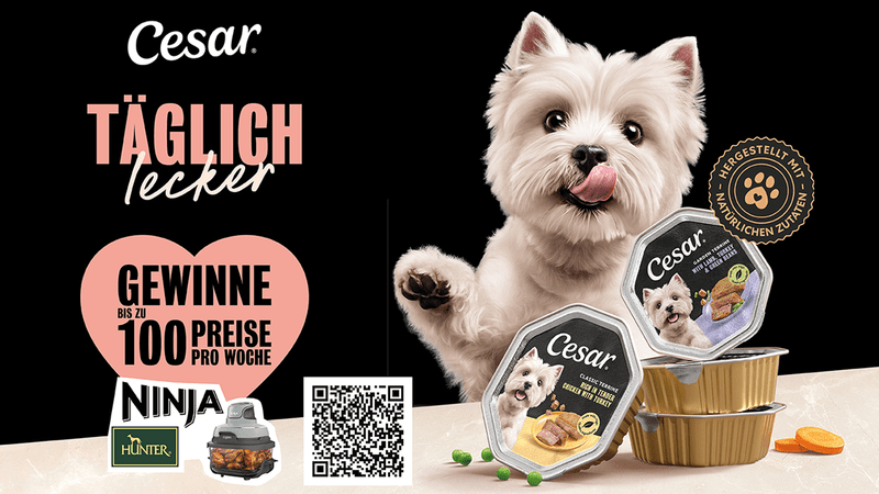 CESAR Gewinnspiel – Gewinne Hunter- und Ninja-Preise
